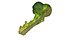 Half Broccoli