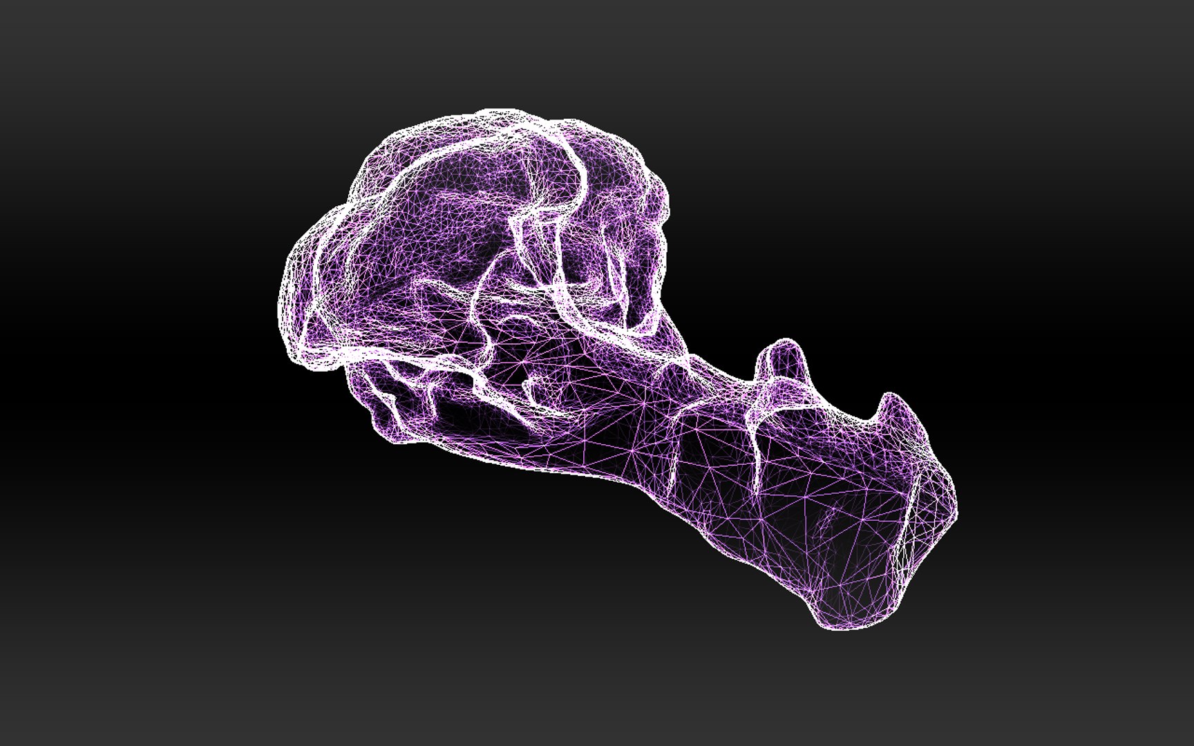 3D half broccoli https://p.turbosquid.com/ts-thumb/Oi/KgDKlX/ErAzOLGI/10/png/1603976274/1920x1080/fit_q87/e782738ced6f68ce1b2dce7c42523872a413ac90/10.jpg