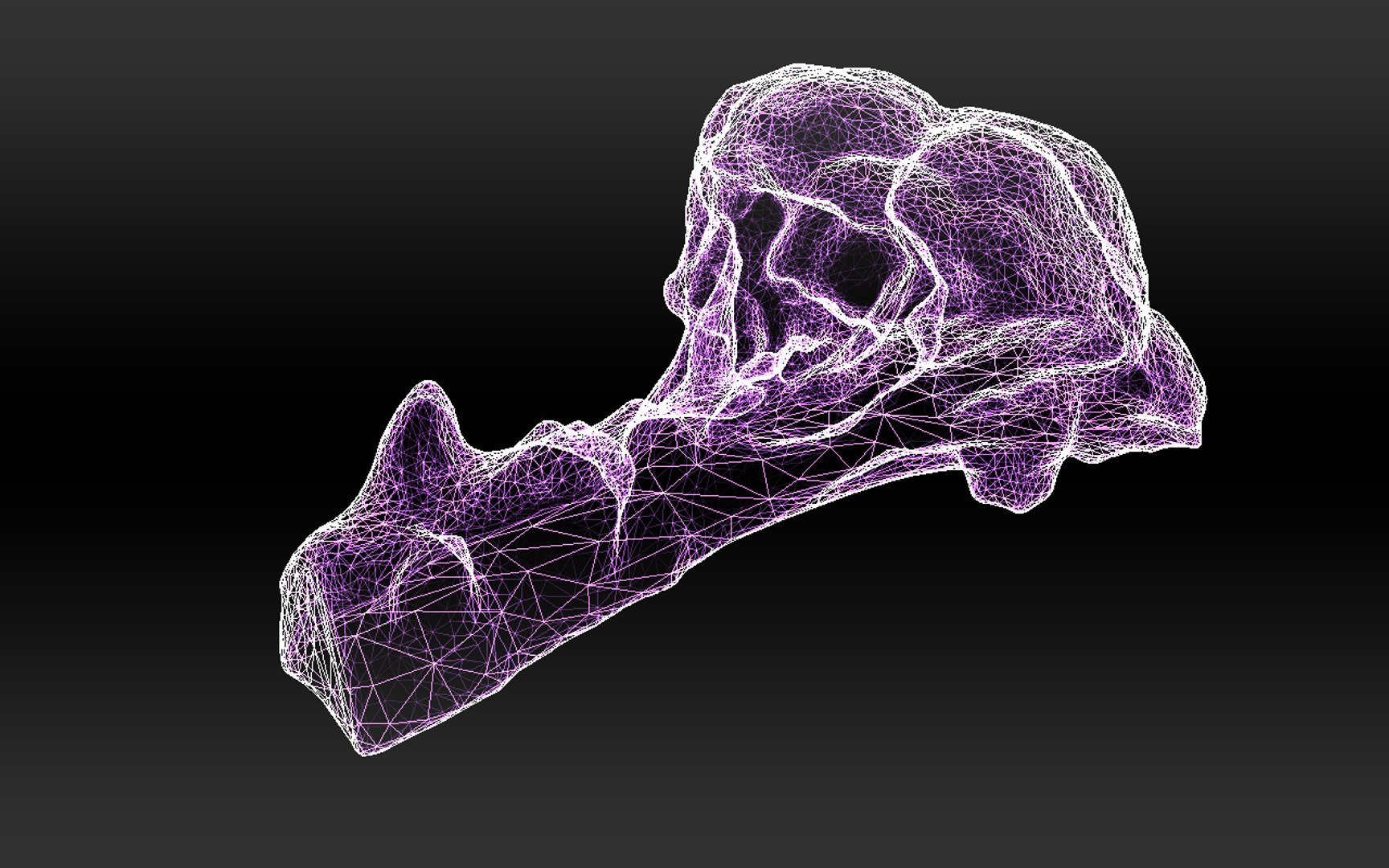 3D half broccoli https://p.turbosquid.com/ts-thumb/Oi/KgDKlX/RpR7PZWO/9/png/1603976274/1920x1080/fit_q87/54806d6bdac40e758c2c6787f09a0d7c64701689/9.jpg