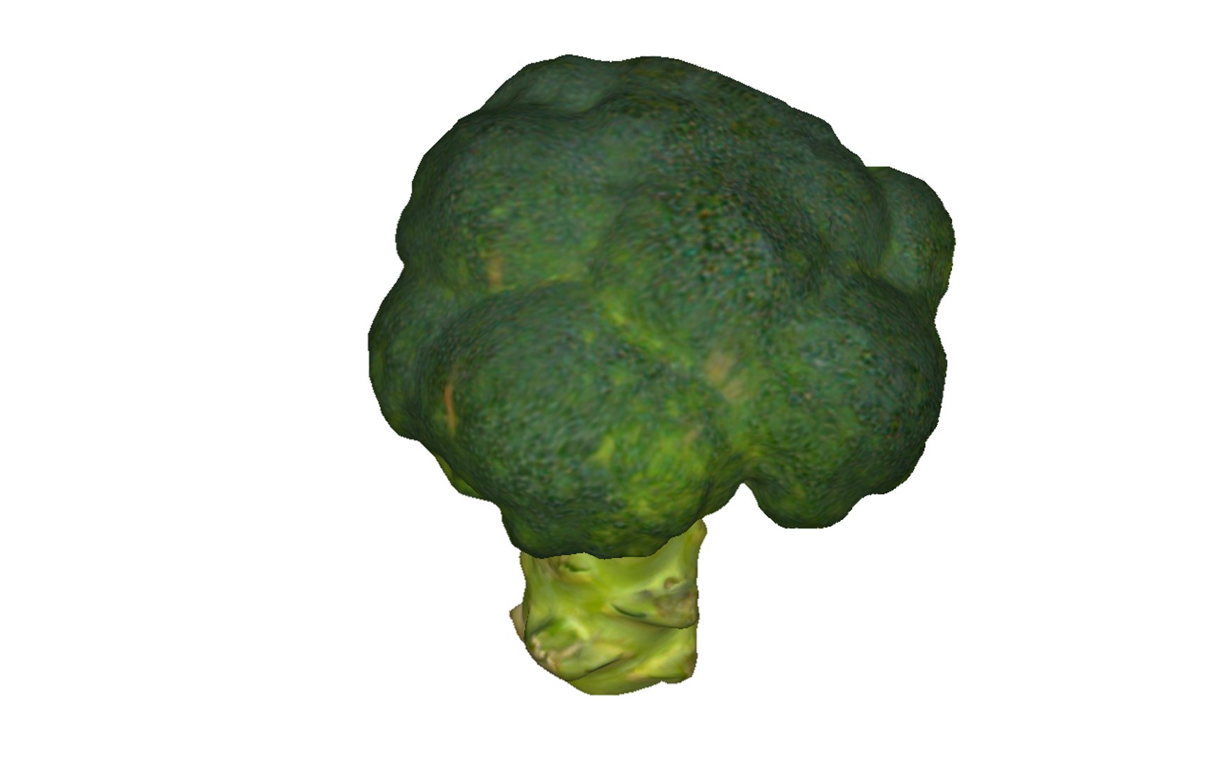 3D half broccoli https://p.turbosquid.com/ts-thumb/Oi/KgDKlX/hfnVhMsb/7/png/1603976274/1920x1080/fit_q87/96d39b32672ed173273a2d69a1f0b1b0781ef813/7.jpg