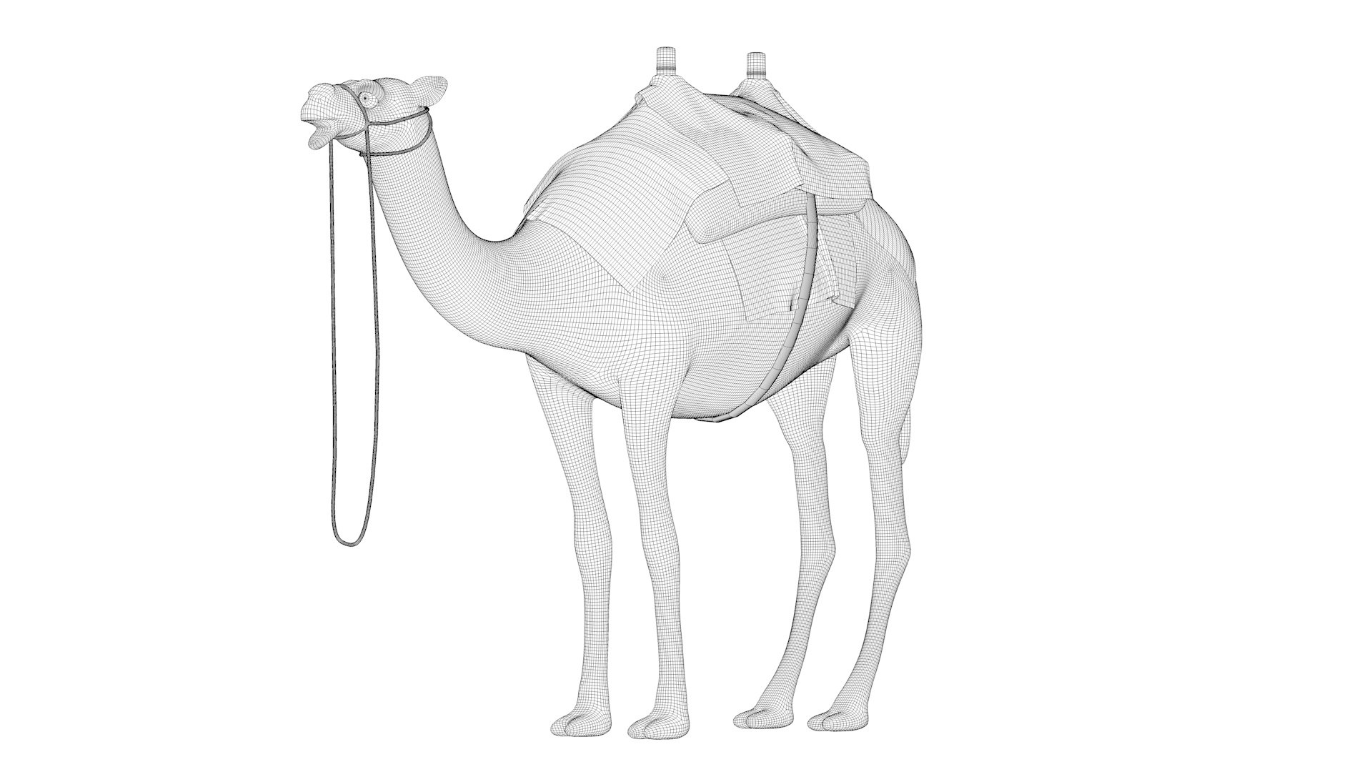 3D model Camel with luggage3 https://p.turbosquid.com/ts-thumb/Oi/M6cQNd/jL/camelwithluggage3_wire/jpg/1691629068/1920x1080/fit_q87/e18beb3ad793ebc40921ea7af6fe3e4396ea176e/camelwithluggage3_wire.jpg
