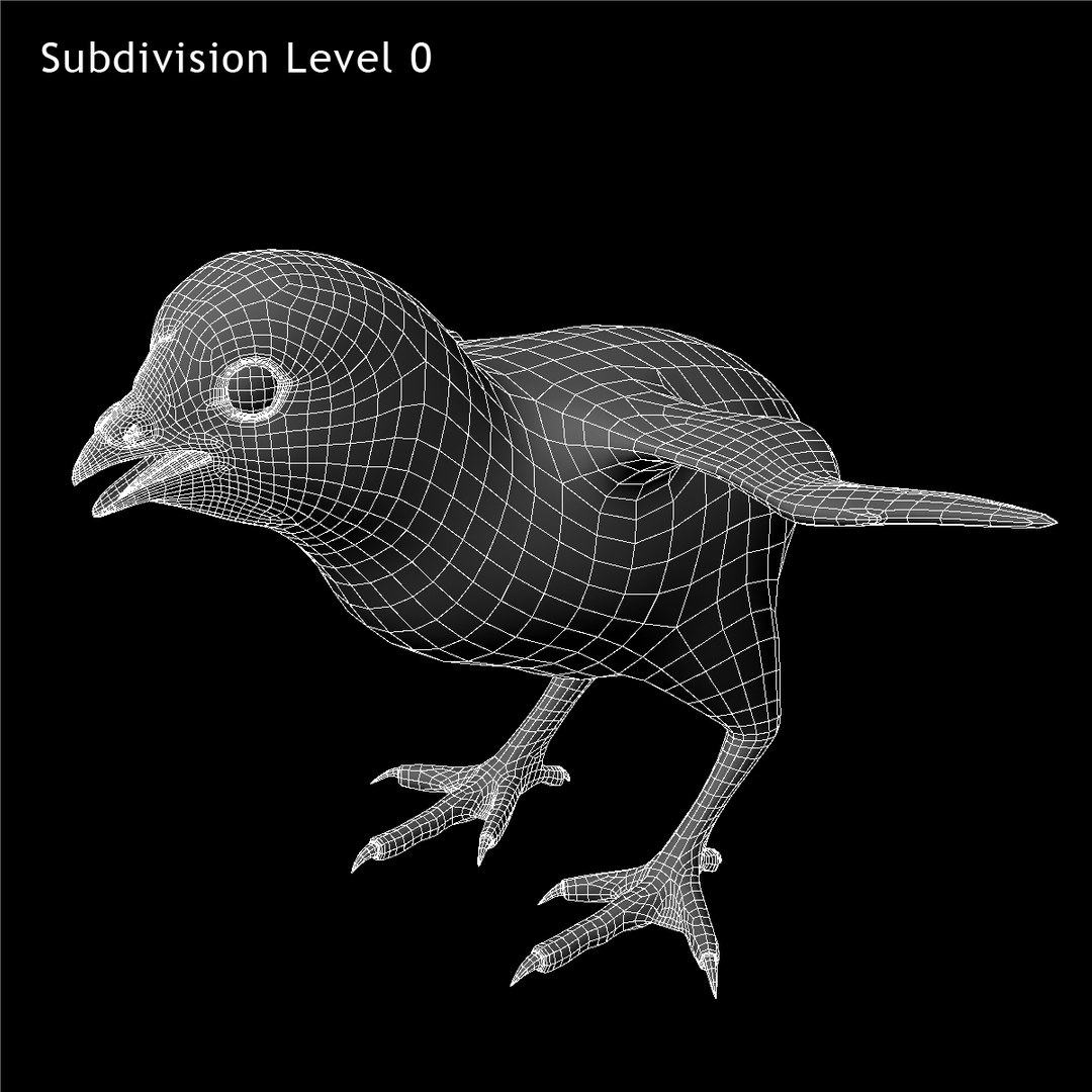 3d model of black chick https://p.turbosquid.com/ts-thumb/Oi/M6wVej/WpvzFOBU/w1/jpg/1419497831/1920x1080/fit_q87/6df13cd98c8cfd40f3798cb1a20ca96c7713a3a4/w1.jpg