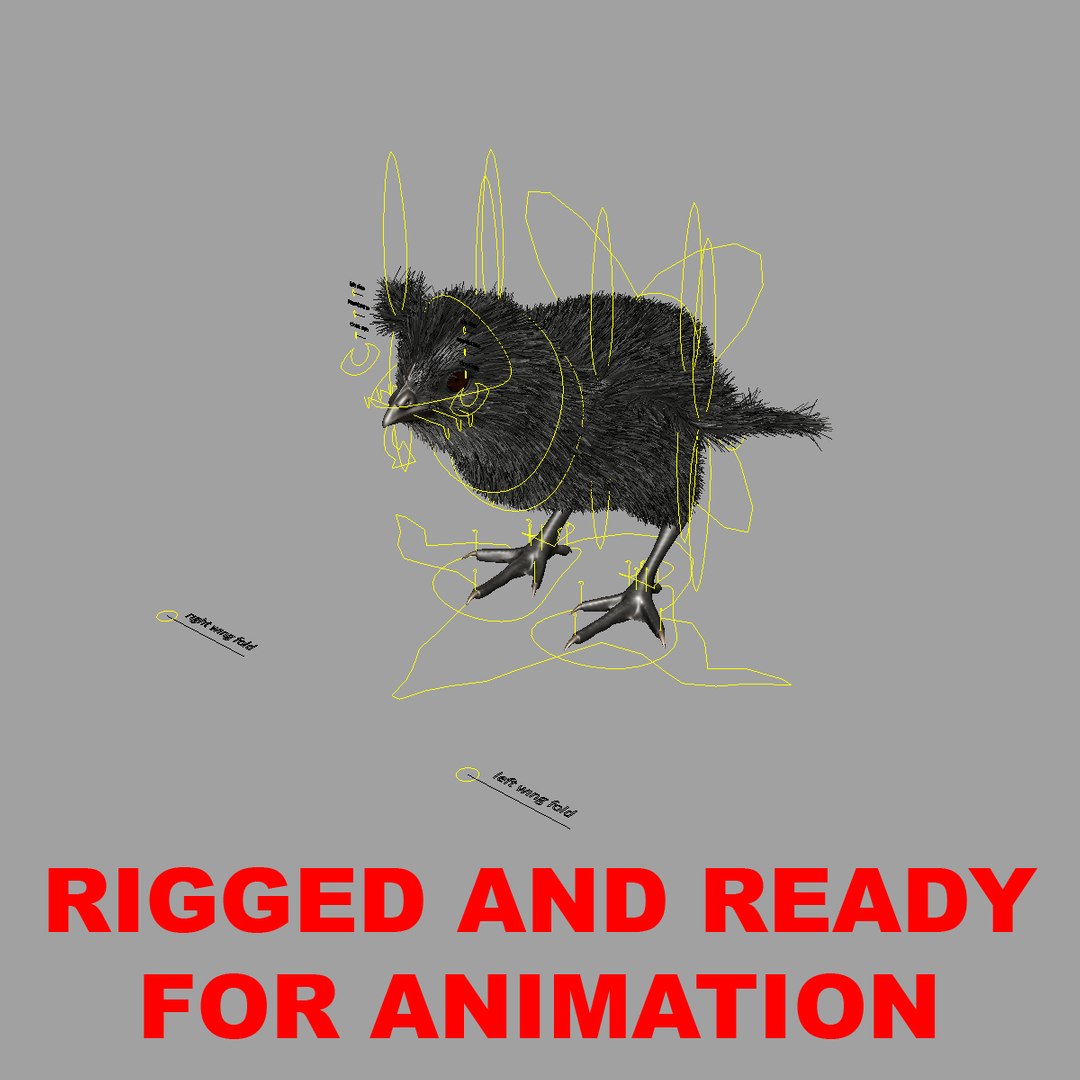 3d model of black chick https://p.turbosquid.com/ts-thumb/Oi/M6wVej/tzCfKEgd/rigged/jpg/1419501275/1920x1080/fit_q87/a2b91c09cc845c2b1f728d8d1959f469ab7138eb/rigged.jpg