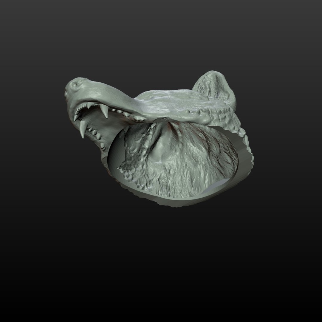 wolf cap 3D model https://p.turbosquid.com/ts-thumb/Oi/OLtasm/3SoHUdGn/wolf_helmet02/jpg/1509190664/1920x1080/fit_q87/931dcfcd5f428a507a5df295196d375e8ebb86f7/wolf_helmet02.jpg