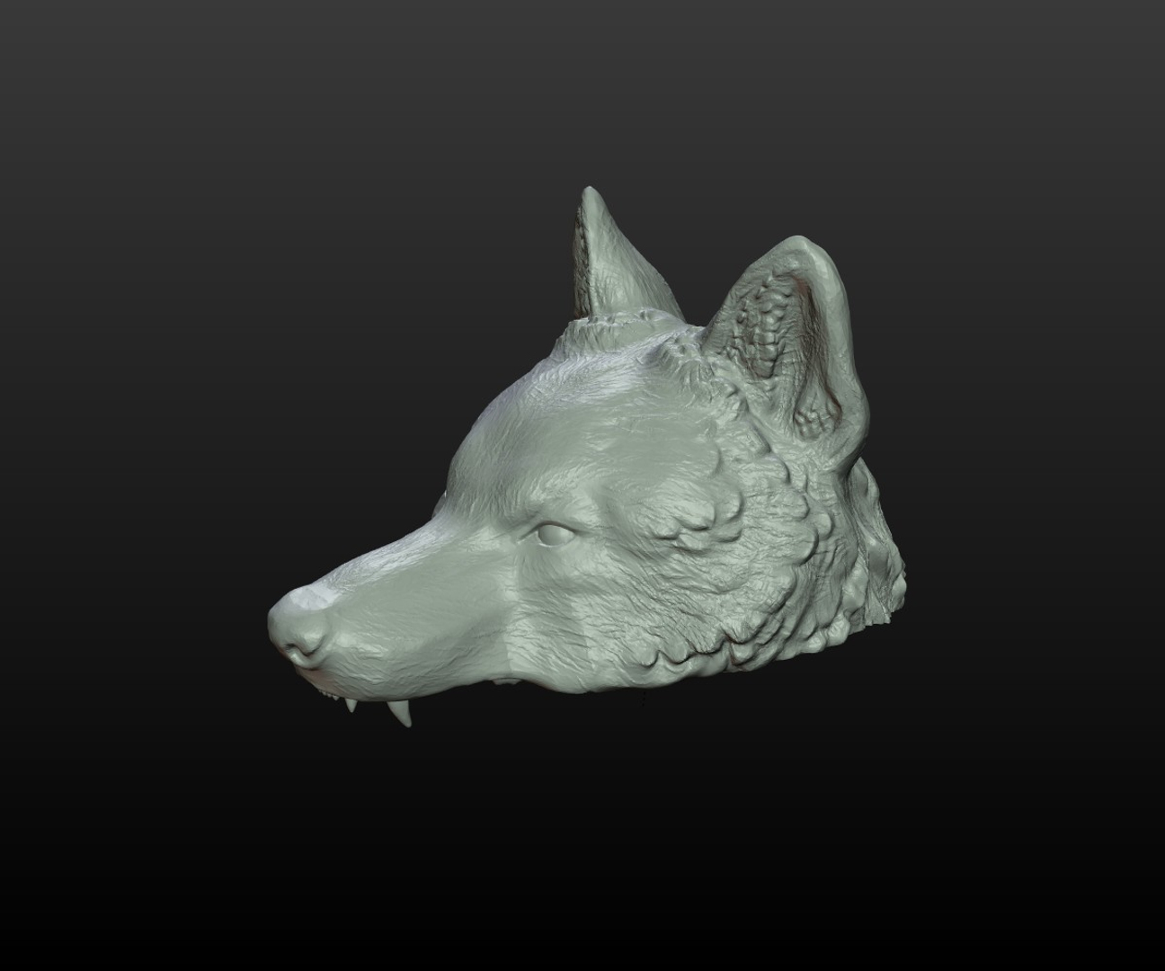 wolf cap 3D model https://p.turbosquid.com/ts-thumb/Oi/OLtasm/3VdlOVT0/wolf_cap/jpg/1509190759/1920x1080/turn_fit_q99/99fc94bed9bcebfee5394461cc1347844d70e916/wolf_cap-1.jpg