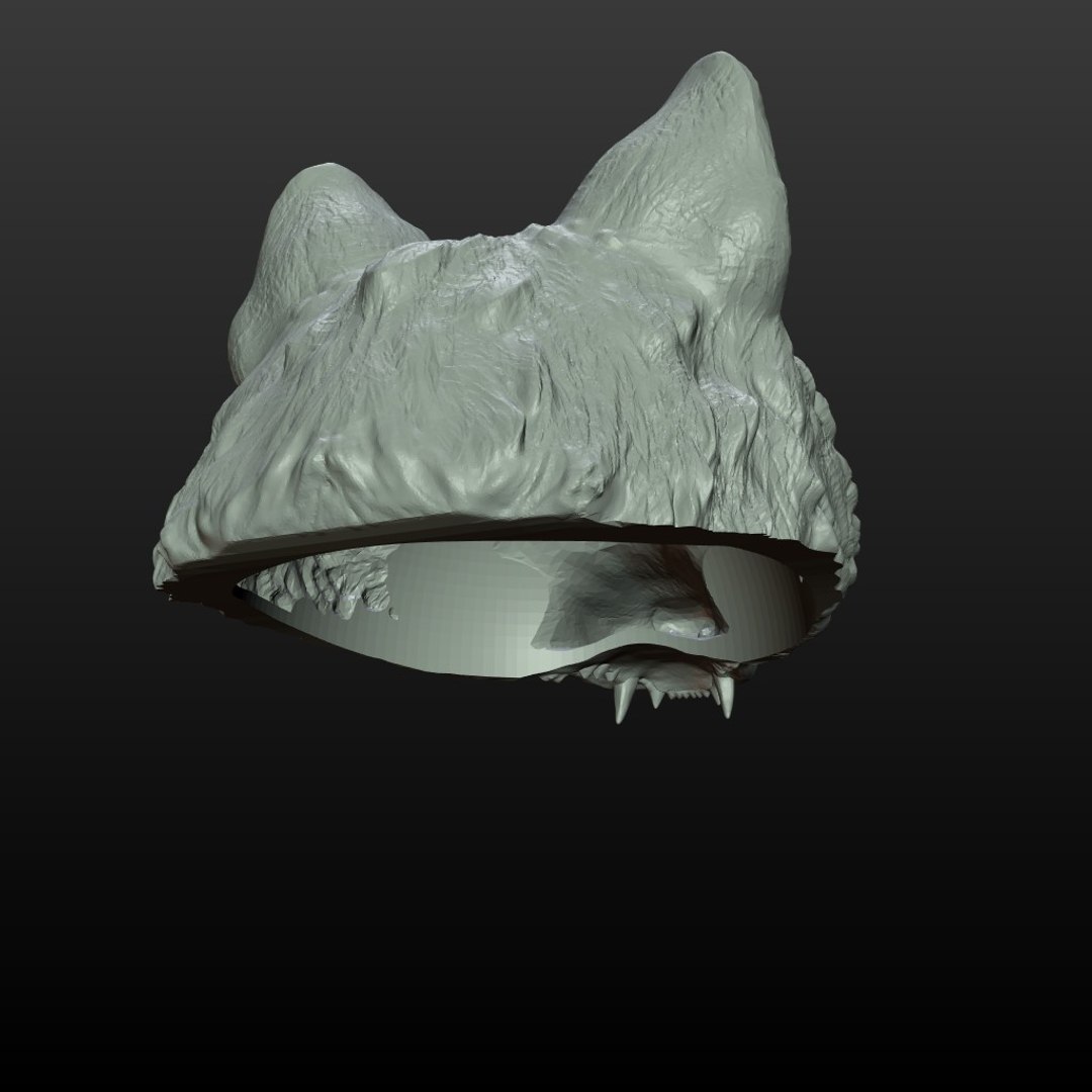 wolf cap 3D model https://p.turbosquid.com/ts-thumb/Oi/OLtasm/M3FrGvYs/wolf_helmet03/jpg/1509190664/1920x1080/fit_q87/f48e1e216c75118386981cc148b2491d55955d6c/wolf_helmet03.jpg