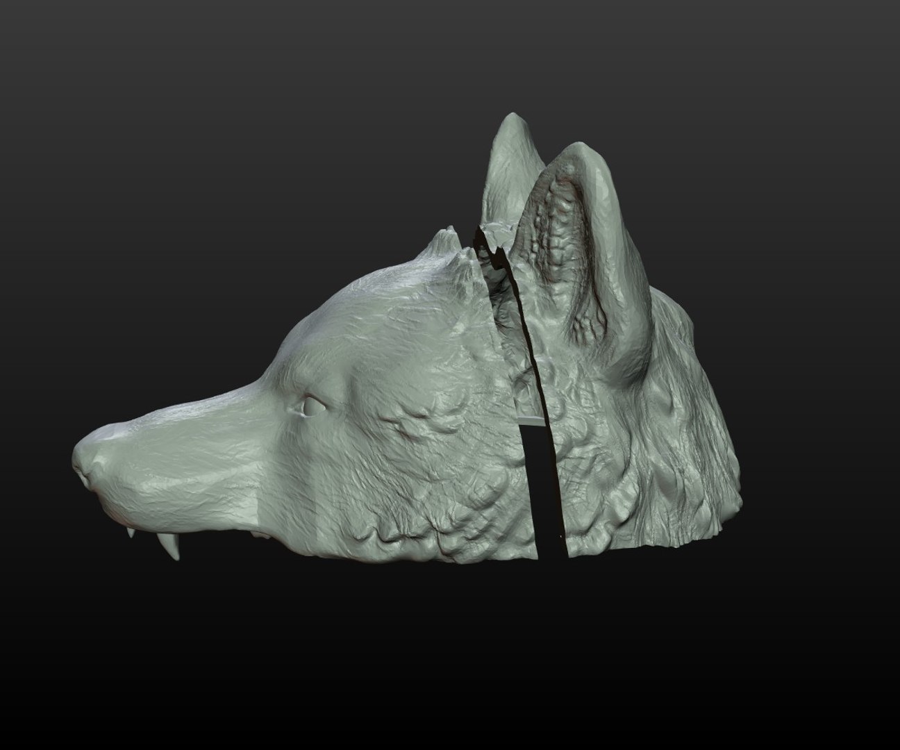 wolf cap 3D model https://p.turbosquid.com/ts-thumb/Oi/OLtasm/vqx99lMS/wolf_cap008/jpg/1509190664/1920x1080/fit_q87/98b641e4048810b7449b7a02a9404e0d11d3f7ea/wolf_cap008.jpg