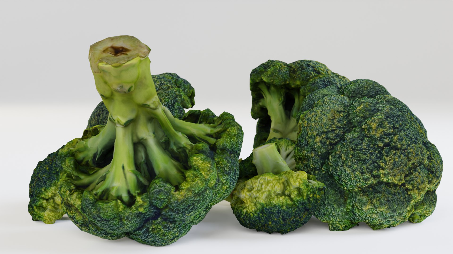 Broccoli 3d Model Turbosquid 1826547 3555