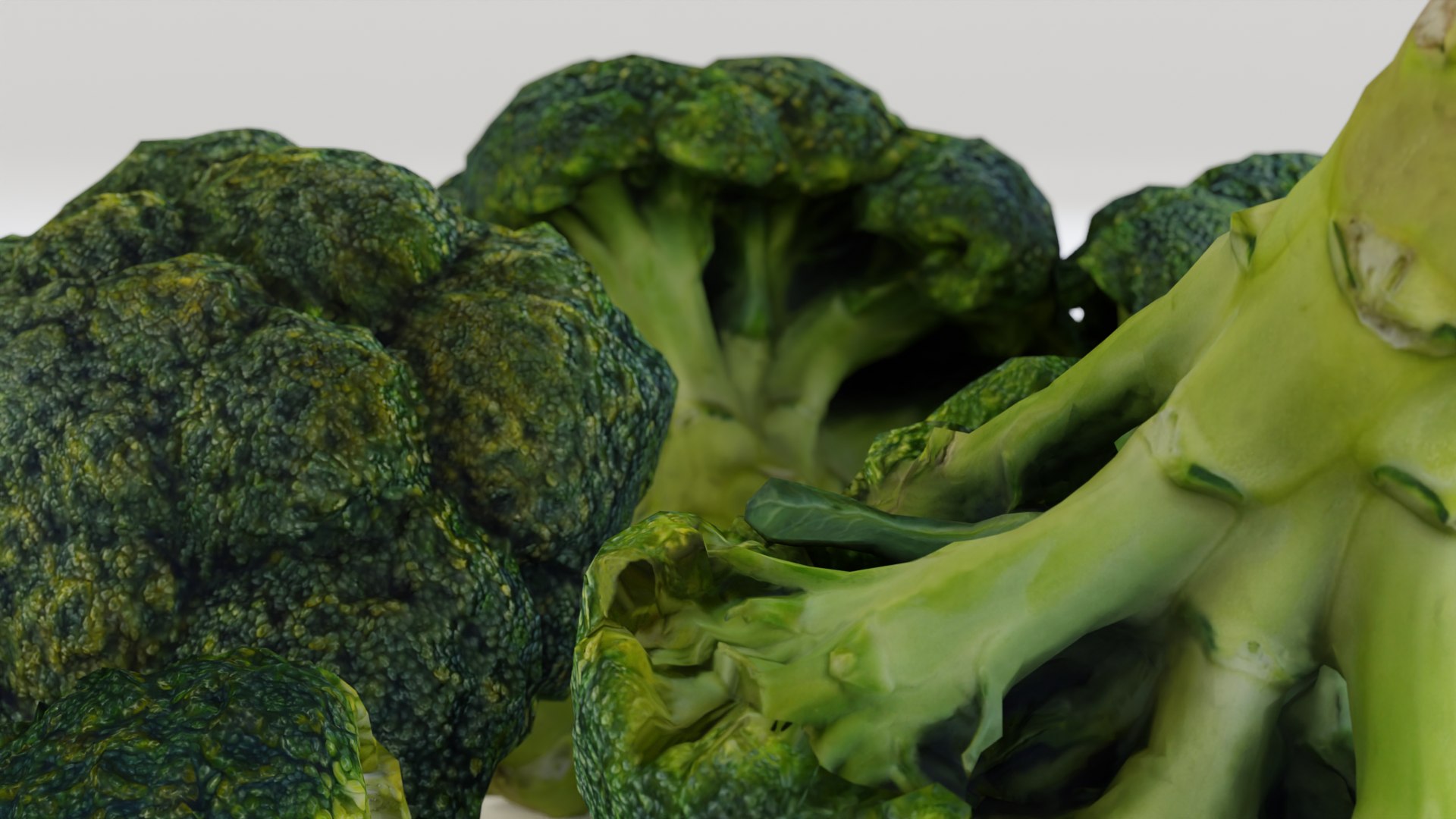 Broccoli 3d Model Turbosquid 1826547 8998