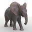 Baby Elephant Pose 2 3D-Modell