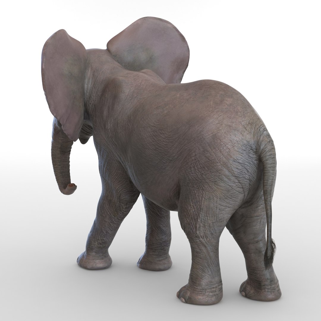 baby elephant pose 2 3d 3ds https://p.turbosquid.com/ts-thumb/Oi/UtlwOE/CieRGX8C/babyelephant3dsmodel04/jpg/1453307927/1920x1080/fit_q87/4f6552c17285e6061ea547baca32b8f56f5a0e3f/babyelephant3dsmodel04.jpg