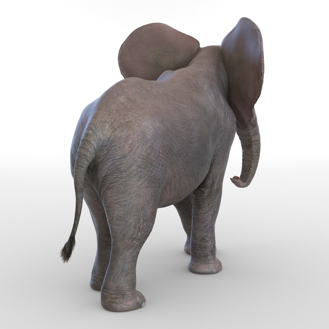 baby elephant pose 2 3d 3ds https://p.turbosquid.com/ts-thumb/Oi/UtlwOE/E3klm52Y/babyelephant3dsmodel05/jpg/1453307927/1920x1080/fit_q87/2148ecae438f7d0536c0f06c2904fee90dc77a3b/babyelephant3dsmodel05.jpg