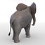 Baby Elephant Pose 2 3D-Modell