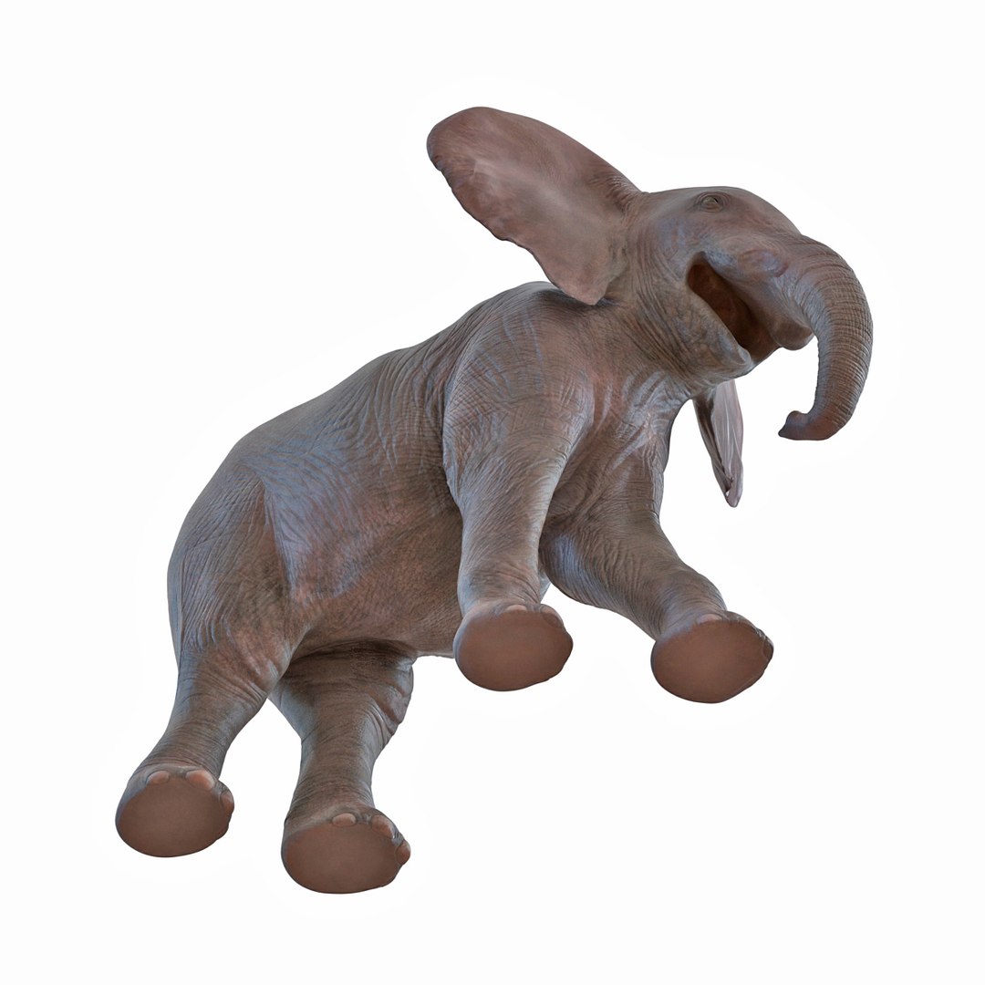 baby elephant pose 2 3d 3ds https://p.turbosquid.com/ts-thumb/Oi/UtlwOE/LJnNc8cQ/babyelephant3dsmodel13/jpg/1453307928/1920x1080/fit_q87/03027894407fe42663b27b9d3dc679fad596fc9f/babyelephant3dsmodel13.jpg