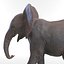 Baby Elephant Pose 2 3D-Modell