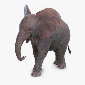 baby elephant pose 2 3d 3ds