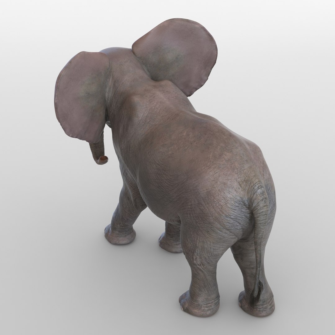 baby elephant pose 2 3d 3ds https://p.turbosquid.com/ts-thumb/Oi/UtlwOE/V2OhDCrl/babyelephant3dsmodel07/jpg/1453307927/1920x1080/fit_q87/c31837d1efa56fd1507718c33f7f9477d6981494/babyelephant3dsmodel07.jpg