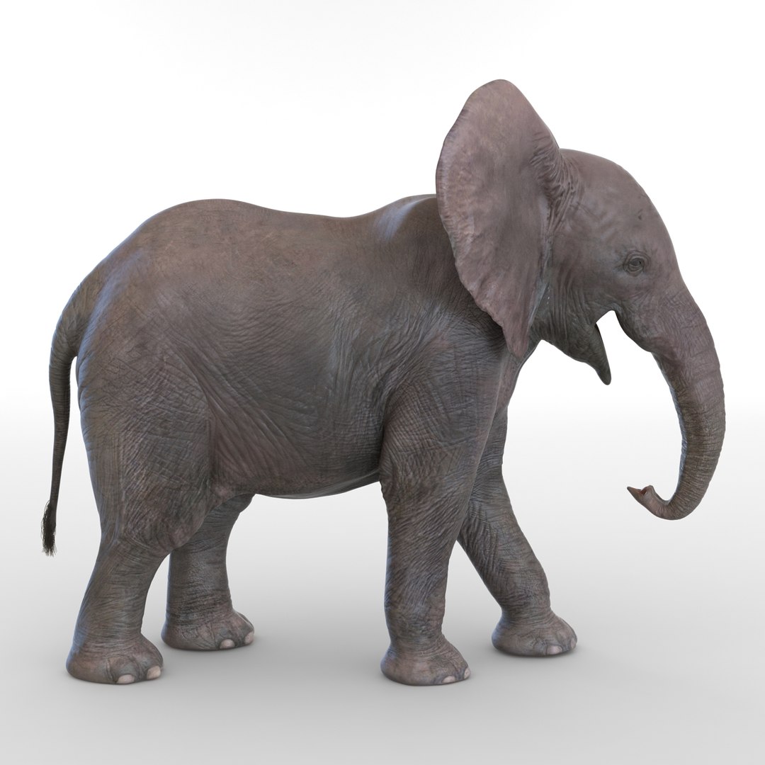 baby elephant pose 2 3d 3ds https://p.turbosquid.com/ts-thumb/Oi/UtlwOE/XrxBog81/babyelephant3dsmodel11/jpg/1453307928/1920x1080/fit_q87/e1a6d6a4c3d1b59f1de31d5386a0bd50c0ffef6d/babyelephant3dsmodel11.jpg