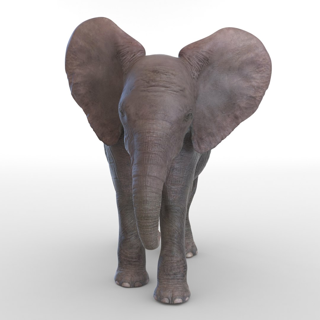 baby elephant pose 2 3d 3ds https://p.turbosquid.com/ts-thumb/Oi/UtlwOE/vcWwe3TJ/babyelephant3dsmodel08/jpg/1453307927/1920x1080/fit_q87/d4b97c1ea2743cc89aa6d420f65d6468104bb004/babyelephant3dsmodel08.jpg