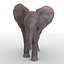 Baby Elephant Pose 2 3D-Modell