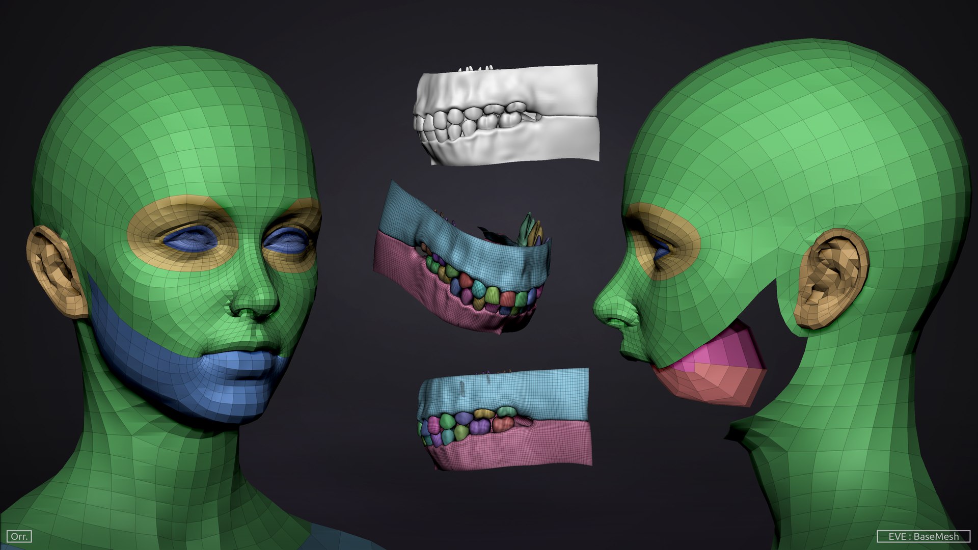 3D zbrush female anatomy basemesh https://p.turbosquid.com/ts-thumb/Oi/bokt9S/2zSdXPTi/female_topologyhead_01_nobuynow/jpg/1524016235/1920x1080/fit_q87/f321dfd8e633d3fccbf42068de800c522669a8f4/female_topologyhead_01_nobuynow.jpg