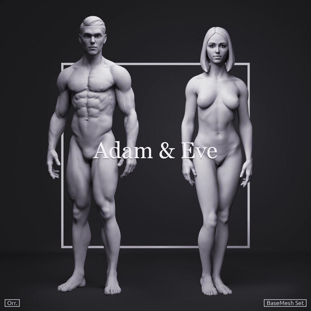 3D zbrush female anatomy basemesh https://p.turbosquid.com/ts-thumb/Oi/bokt9S/QU69LhC8/adameve_04_concept_nobuynow/jpg/1524016275/1920x1080/fit_q87/5b3daf35e600de53e657332f2292f29aa38e336b/adameve_04_concept_nobuynow.jpg