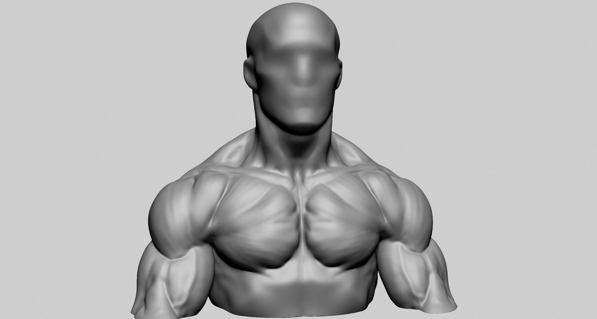 Chest Shoulder A 3D Model - TurboSquid 2206351