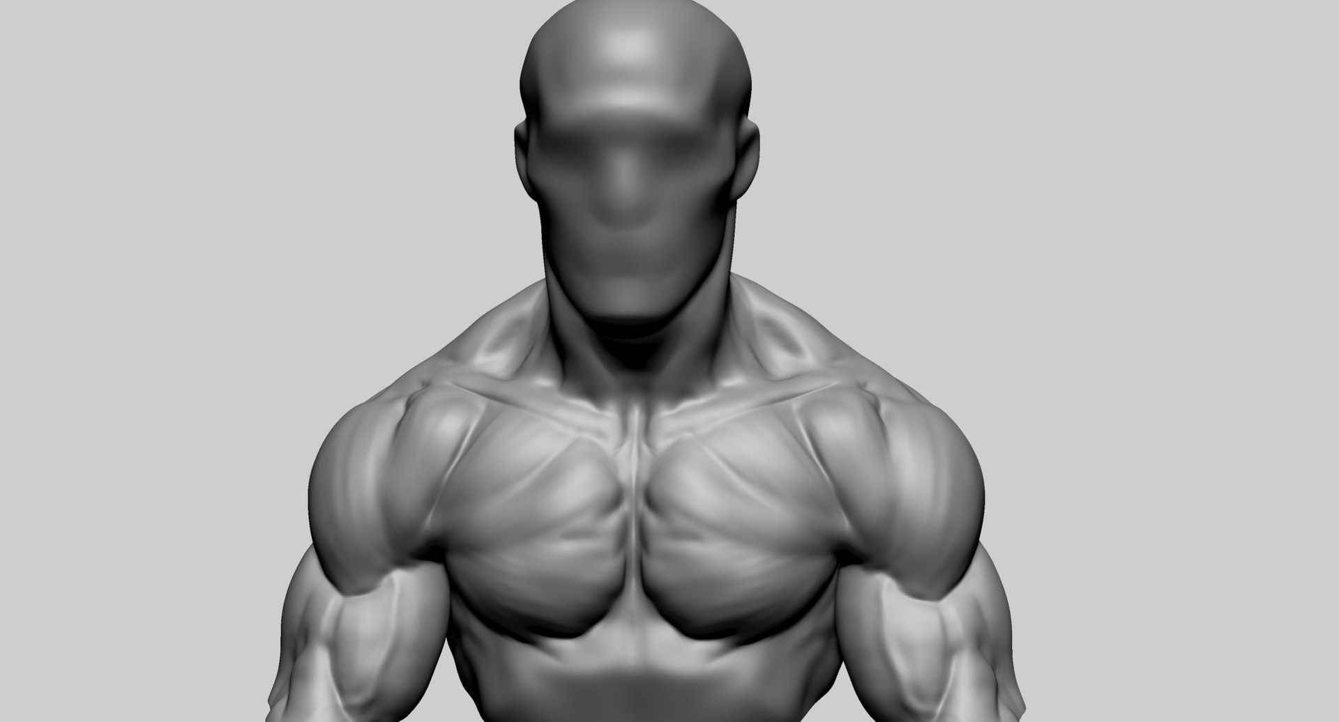 Chest Shoulder A 3D Model - TurboSquid 2206351