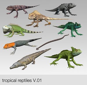 3d model tropical reptiles