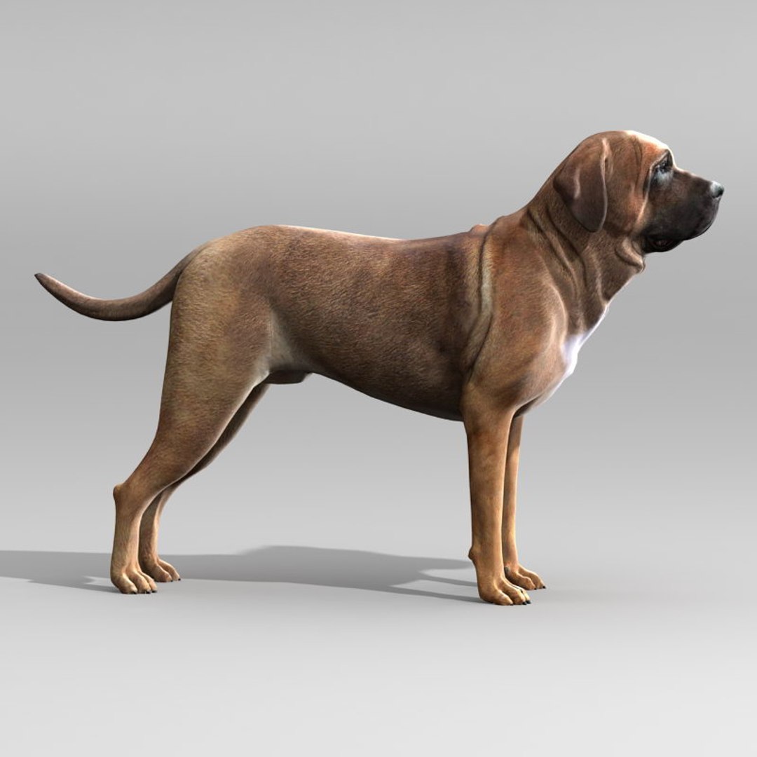 3ds Max Tosa Inu