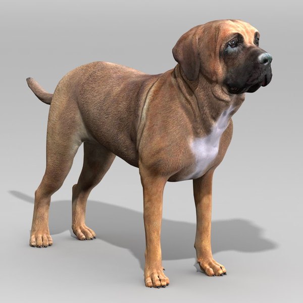 土佐犬3dモデル Turbosquid 3648