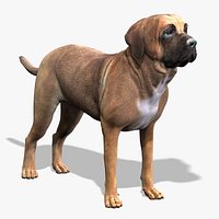 Tosa Inu