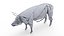 Full Pig Anatomy Animated