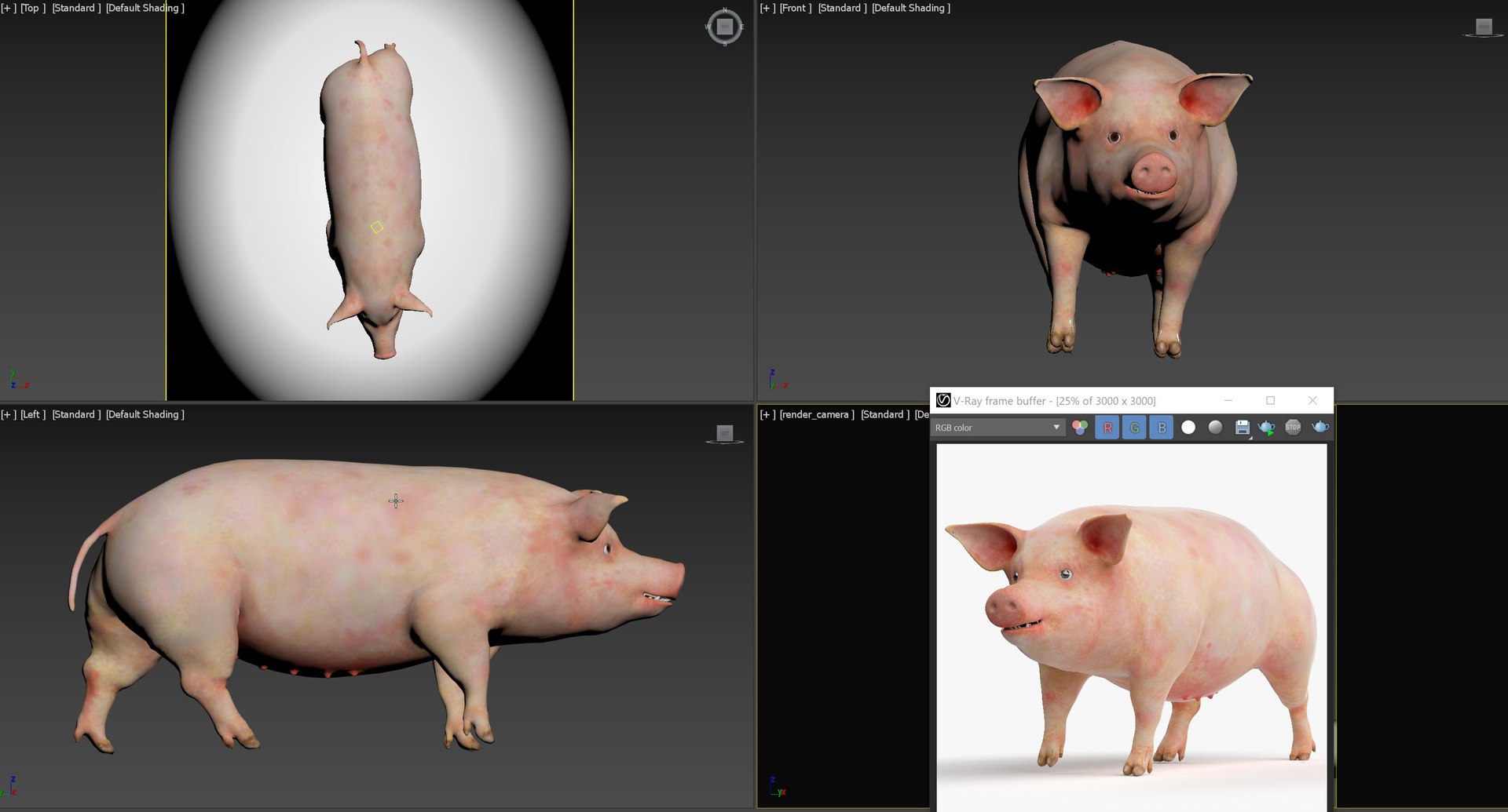 3D model Full Pig Anatomy Animated https://p.turbosquid.com/ts-thumb/Oj/1yPZV8/kY/pig_full_anatomy_animated_viewport/jpg/1655912046/1920x1080/fit_q87/2ccc03273f95ee06cfc8352b6badba9b8fb7284a/pig_full_anatomy_animated_viewport.jpg