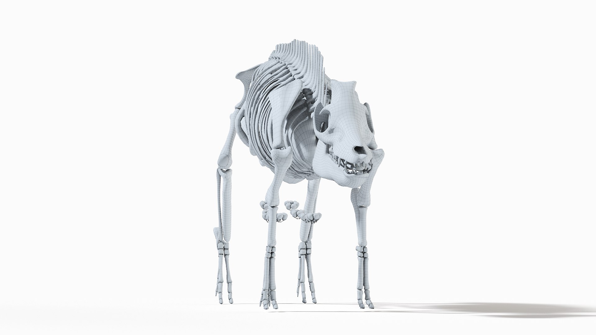 3D model Full Pig Anatomy Animated https://p.turbosquid.com/ts-thumb/Oj/1yPZV8/lq/pig_anatomy_systems_organs_wire0001/jpg/1655828373/1920x1080/fit_q87/cf97dc806e4d4ce173ba977a10a265ee0495fd7d/pig_anatomy_systems_organs_wire0001.jpg