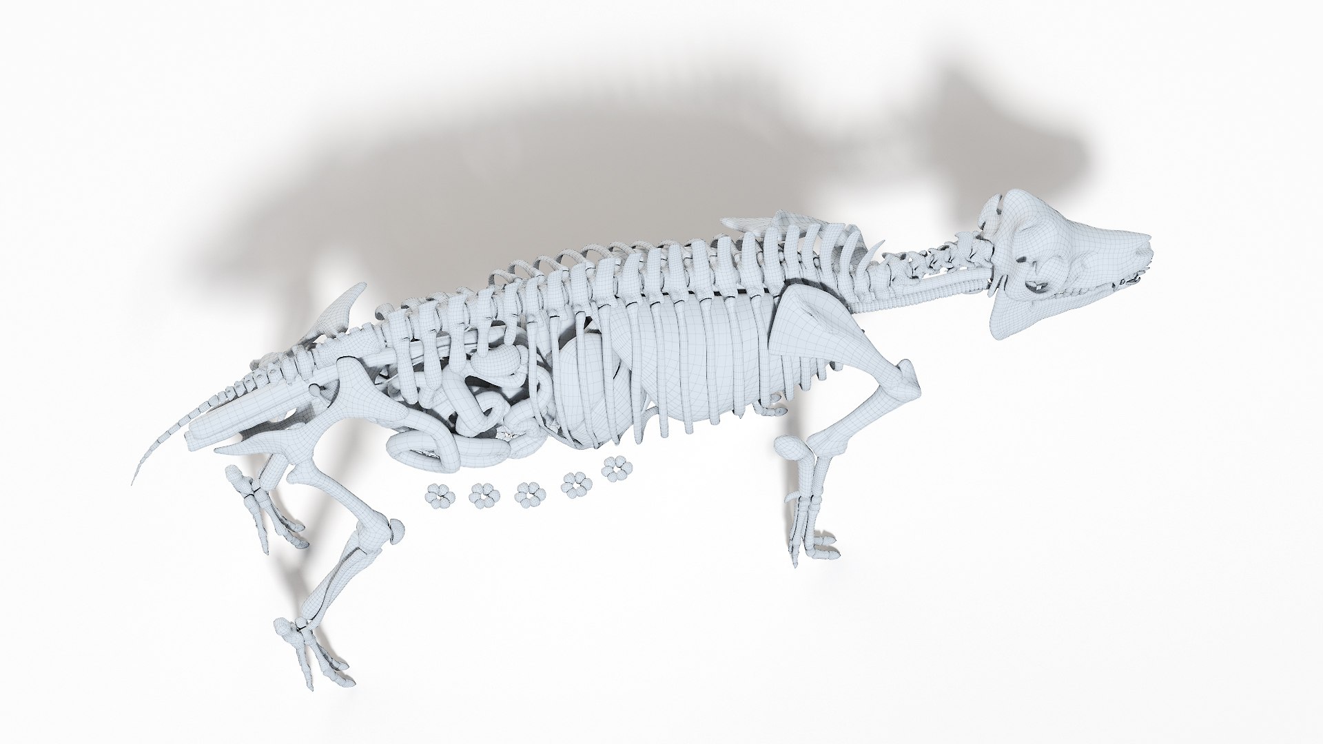 3D model Full Pig Anatomy Animated https://p.turbosquid.com/ts-thumb/Oj/1yPZV8/mW/pig_anatomy_systems_organs_wire0004/jpg/1655828374/1920x1080/fit_q87/a07b745590f63409018013b745463d4359e4606e/pig_anatomy_systems_organs_wire0004.jpg