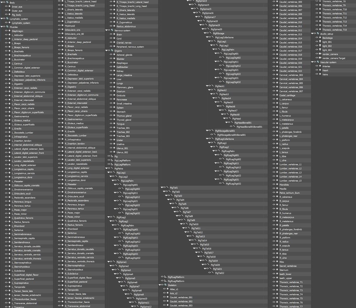 3D model Full Pig Anatomy Animated https://p.turbosquid.com/ts-thumb/Oj/1yPZV8/pY/pig_full_anatomy_animated_objects/jpg/1655911381/1920x1080/fit_q87/145225cb07c0b07477503a3f04c7d5b0a112b7ee/pig_full_anatomy_animated_objects.jpg