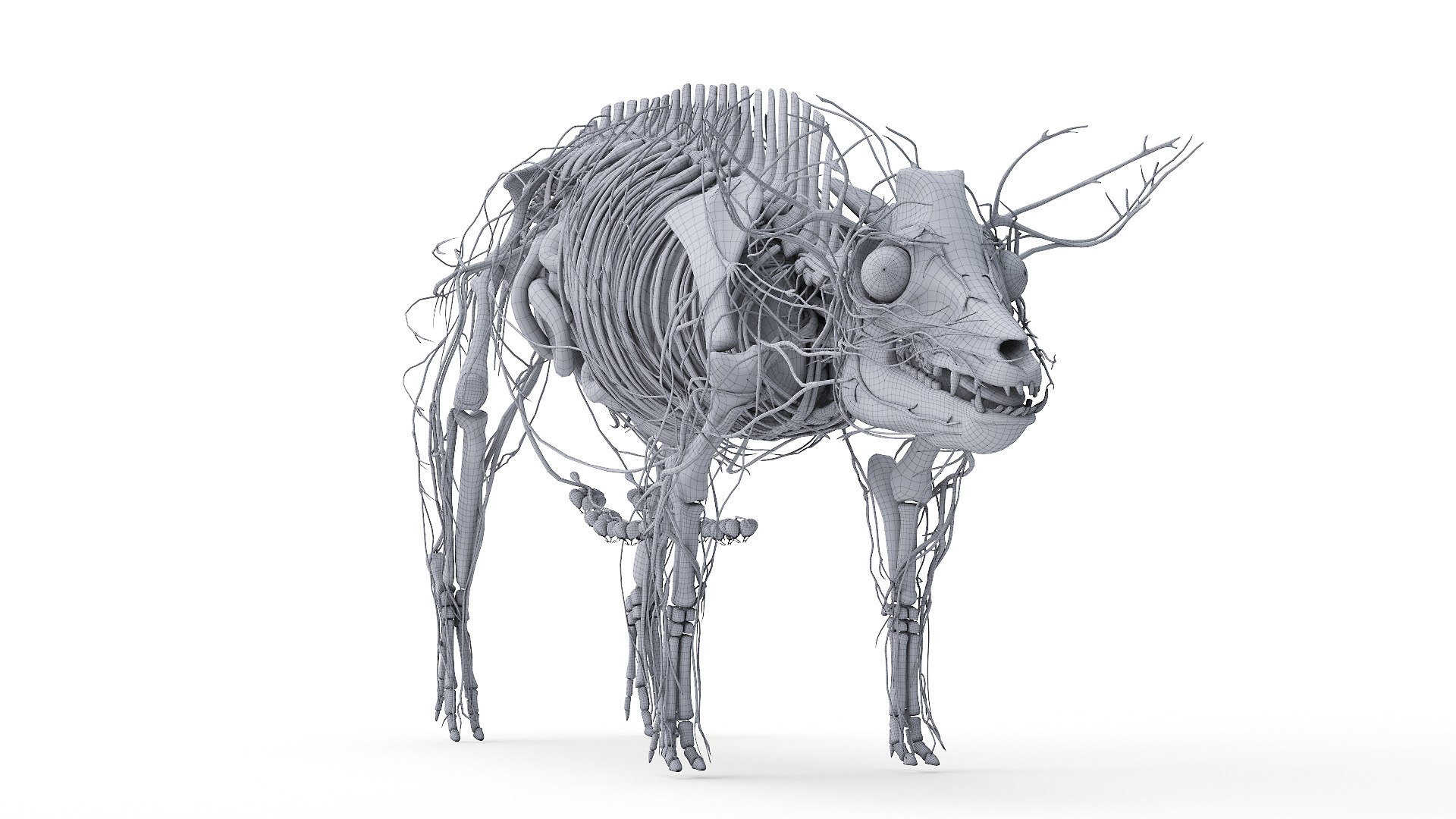 3D model Full Pig Anatomy Animated https://p.turbosquid.com/ts-thumb/Oj/1yPZV8/sB/2021_pig_anatomy_wire_anatomy2f0002/jpg/1655816064/1920x1080/fit_q87/fa29a7dbd0ed4e159c42475b5ec256b2a766466b/2021_pig_anatomy_wire_anatomy2f0002.jpg