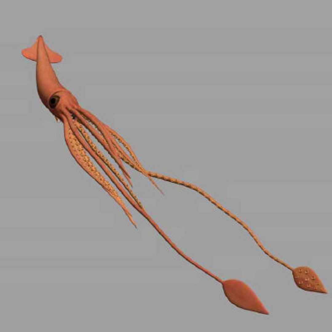 imagination works 3d model