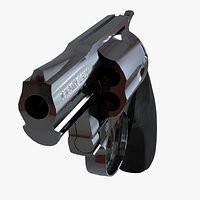 Colt detective special