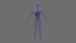 Human with organs