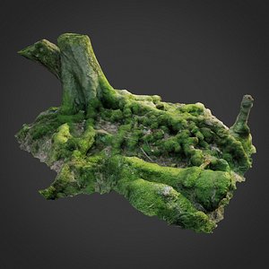 scanned nature forest roots 3D model