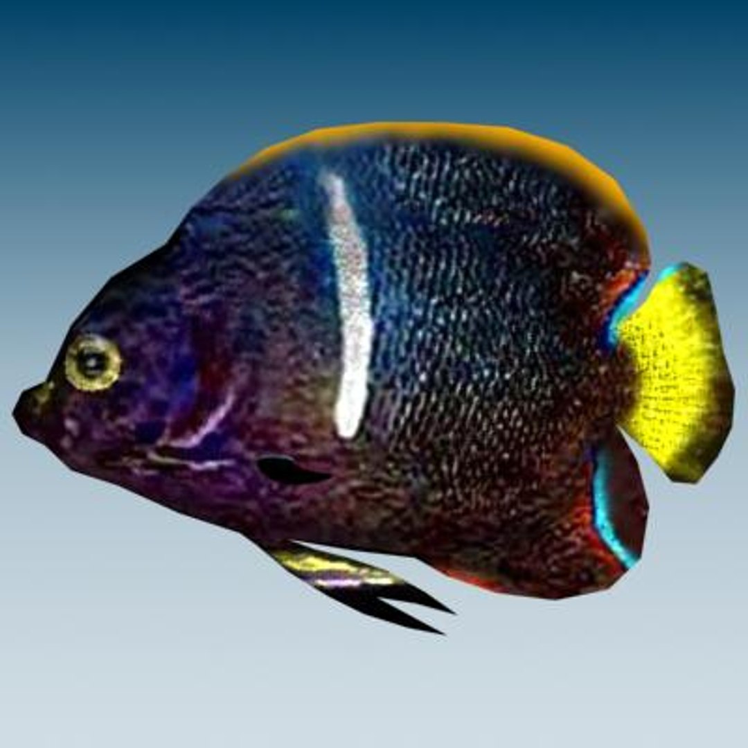 3ds Max Tropical Fish 2