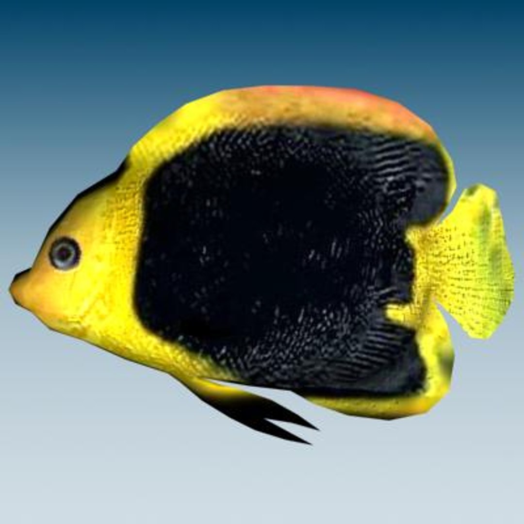3ds Max Tropical Fish 2