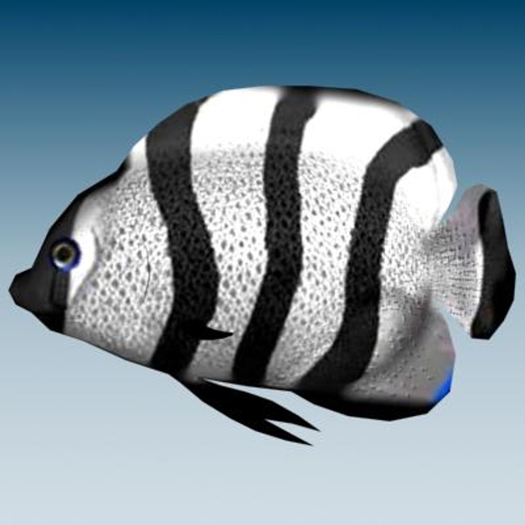 3ds Max Tropical Fish 2