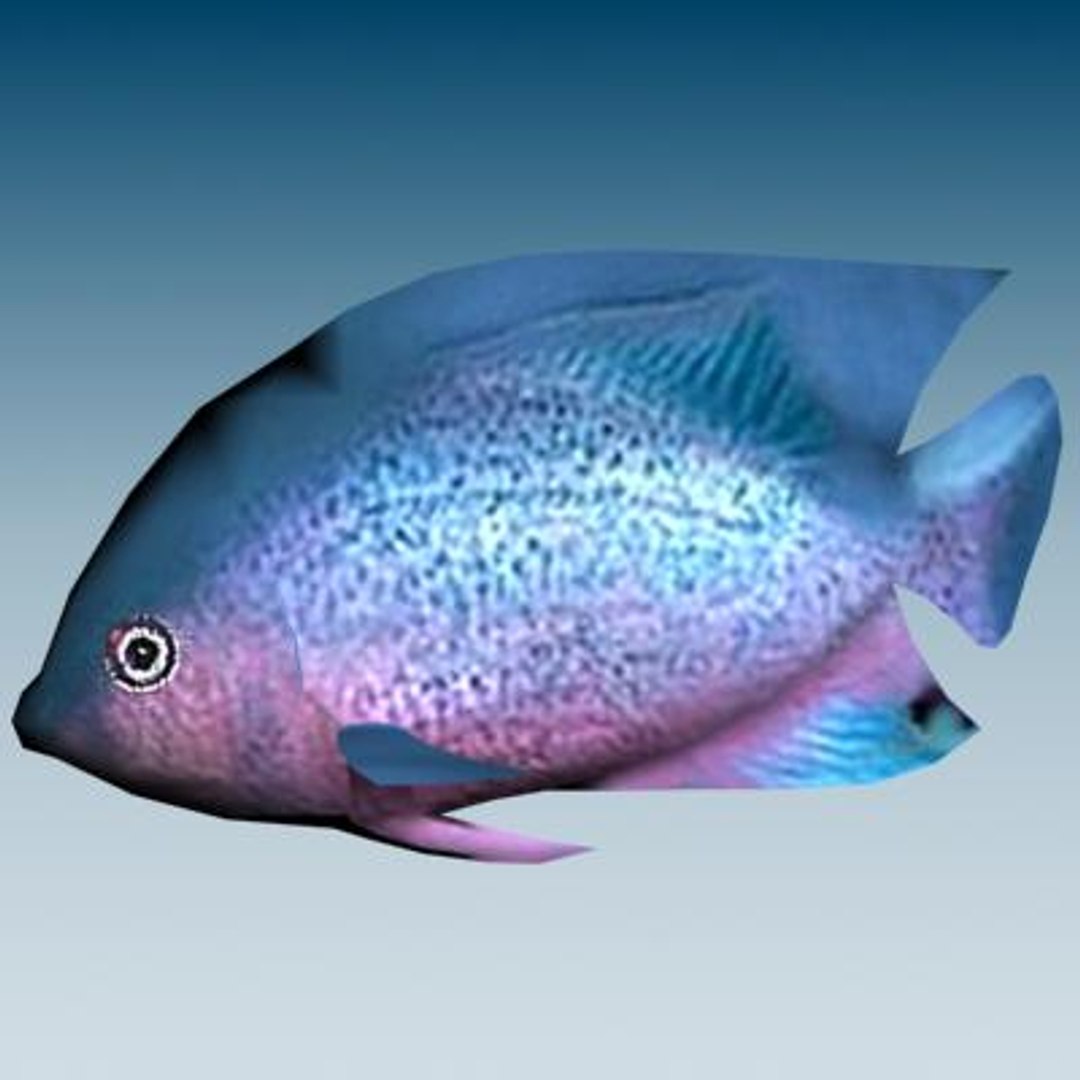 3ds Max Tropical Fish 2