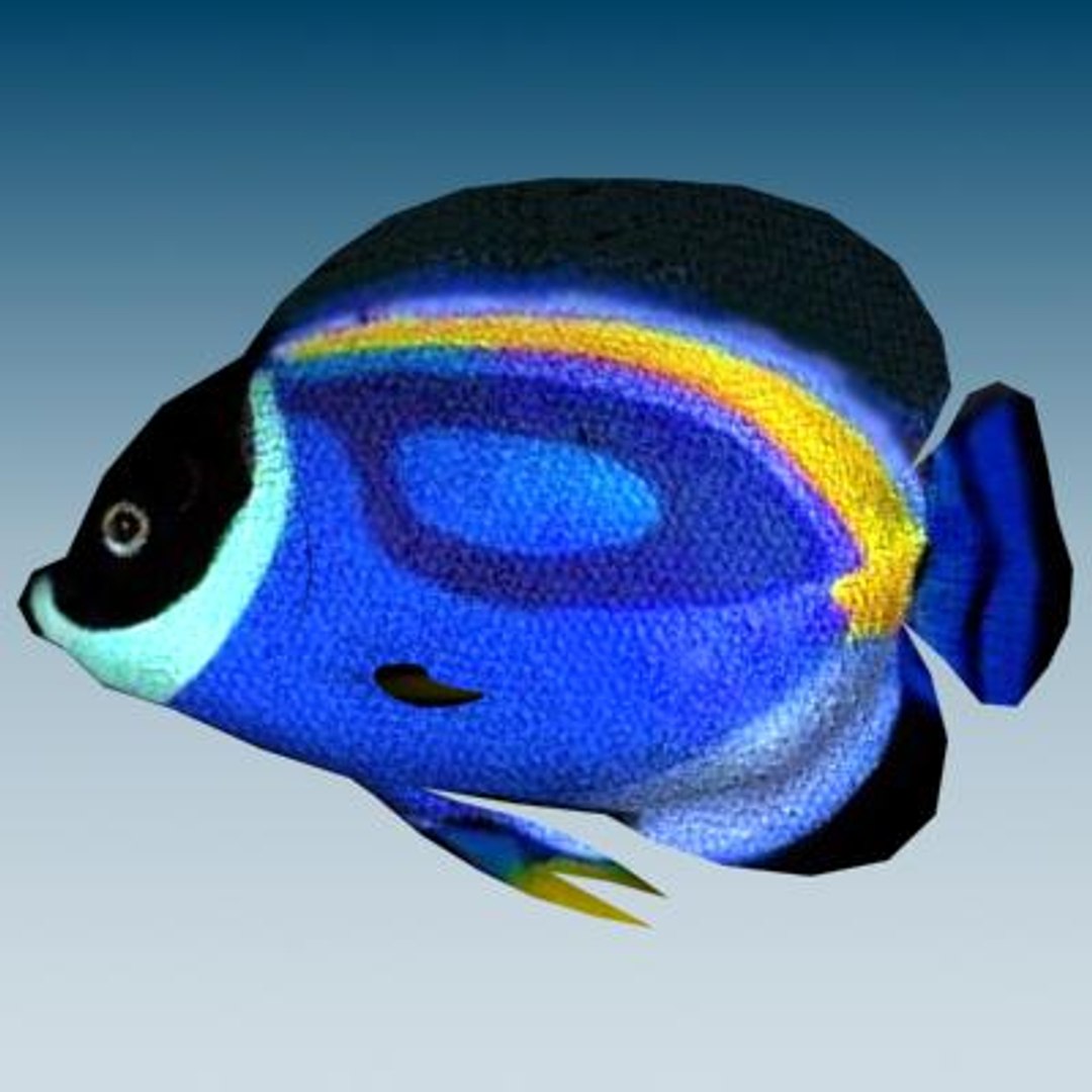 3ds Max Tropical Fish 2