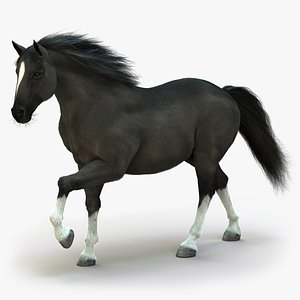 Horse (2) (Black) (ANIMATED) (FUR)