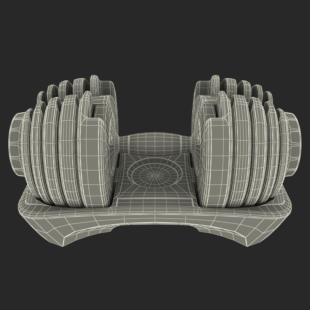 3d dumbbells bowflex selecttech https://p.turbosquid.com/ts-thumb/Oj/rTbtnS/l0MUJymT/turntablefile_361/jpg/1396438550/1920x1080/turn_fit_q99/3e9b8e73da94fe0d08836dfb392ecdaeac35d9f7/turntablefile_361-1.jpg