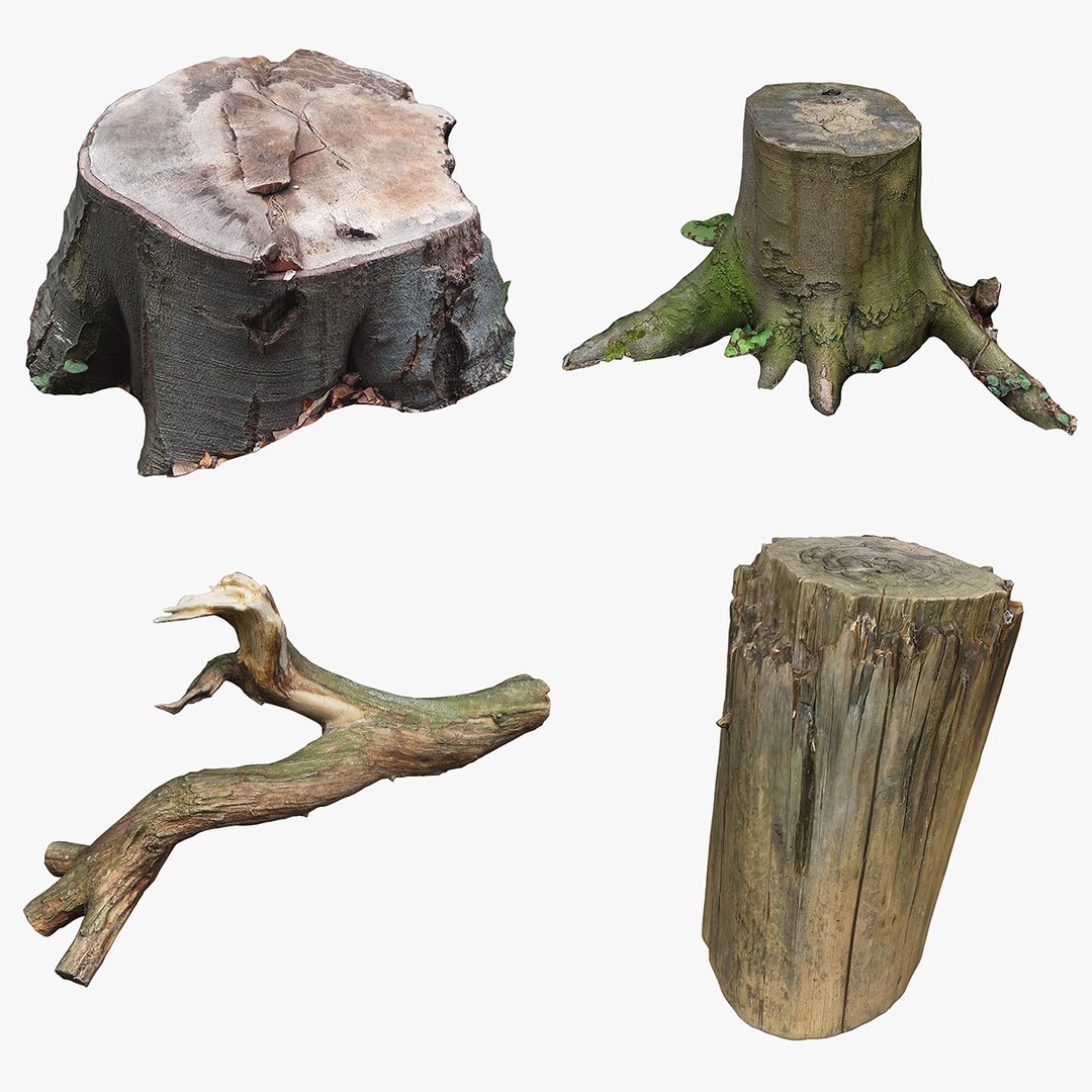 3D Tree Stump Collection 14 https://p.turbosquid.com/ts-thumb/Oj/urzLmf/bv/collection_14/png/1697442926/1920x1080/fit_q87/baef7e044b0d4e7da09641c81d620976be98d648/collection_14.jpg